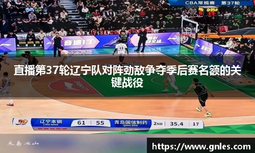 直播第37轮辽宁队对阵劲敌争夺季后赛名额的关键战役